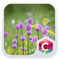 SPRING FLOWER THEME APK 电影海报图片