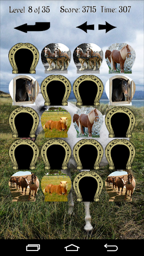 Horses Memory Game