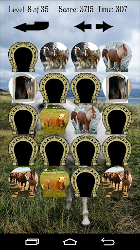 免費下載教育APP|Horses Memory Game app開箱文|APP開箱王