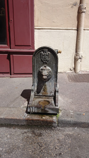 Lyon,fontaine De L'imprimerie 