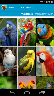 Amazing Parrots Wallpapers(圖2)-速報App