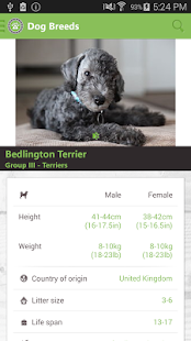 HUNDO - All About dogs(圖6)-速報App