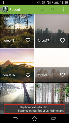 Fond d'écran forêt