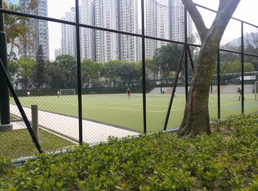 Pak Fuk Tin Sum Soccer Pitch