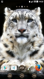 Snow Leopard XZ Theme poster 5