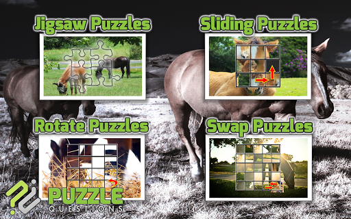 【免費解謎App】Horse Puzzles-APP點子