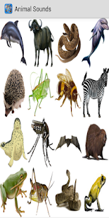 Free Download Animal Sounds APK for Android