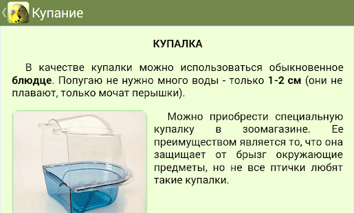 Попугаи(圖5)-速報App