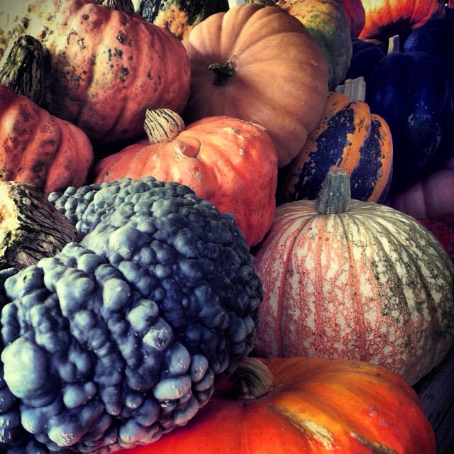 Great Gourd Selection
