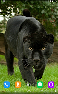 How to install Black Panther Live Wallpaper patch 1.1.1 apk for laptop