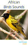 African Birds Sounds