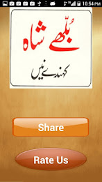 Bulleh Shah Kehnde Nain poetry poster 13