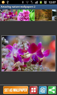 Amazing wallpaper 2 by Drac(圖1)-速報App