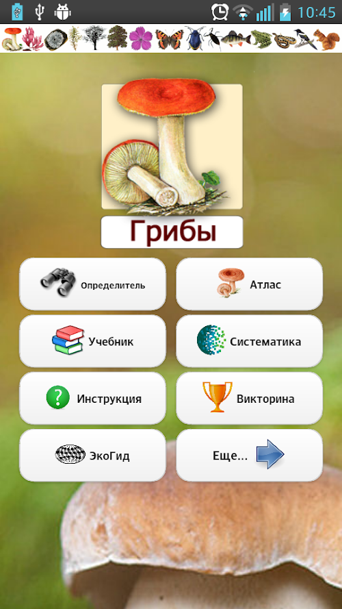Android application EcoGuide: Russian Fungi screenshort