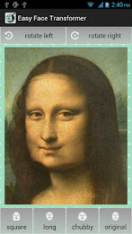 Easy Face Transformer poster 2