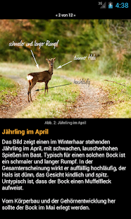 Download Rehwild ansprechen APK