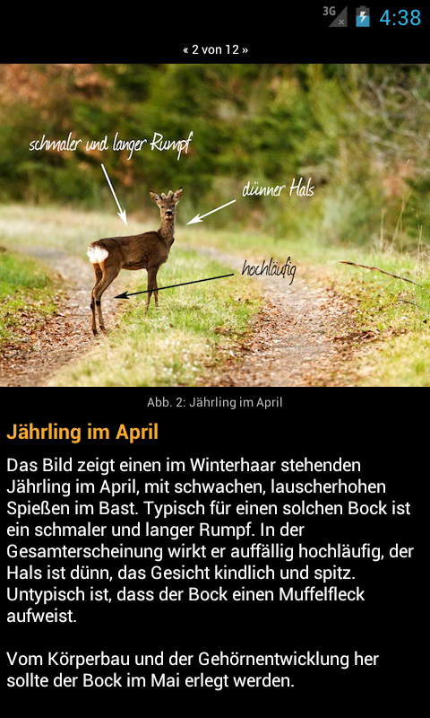 Rehwild ansprechen Screen 3