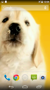 Puppy Licks Screen(圖4)-速報App