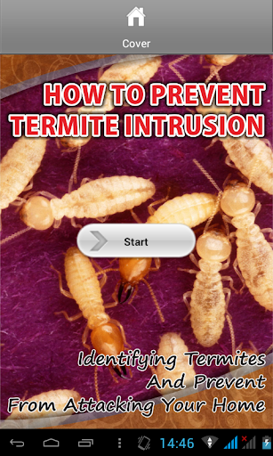 Prevent Termite Intrusion