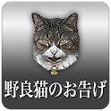 Revelation of feral cats logo
