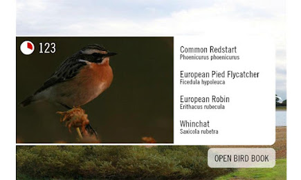 Birdinggame poster 2