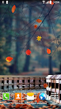 Autumn Wallpaper