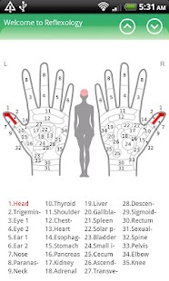 Hand Chart for Reflexology