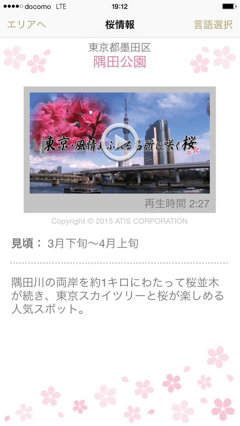 Sakura Movie in Japan Screen 2