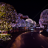 Light the Way by Holly Stokes -  