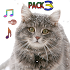 Cat Ringtones Vol34.0