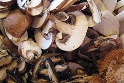 Creamy Wild Mushroom Soup