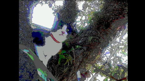 Hand-Drawn Camera FREE poster 6