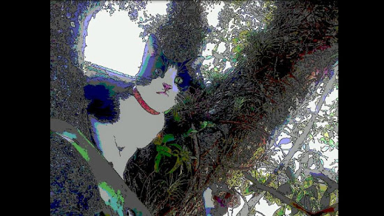Hand-Drawn Camera FREE(圖7)-速報App