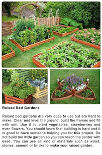 DIY Gardening Tips(圖6)-速報App