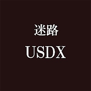 迷路USDX.apk 2.0