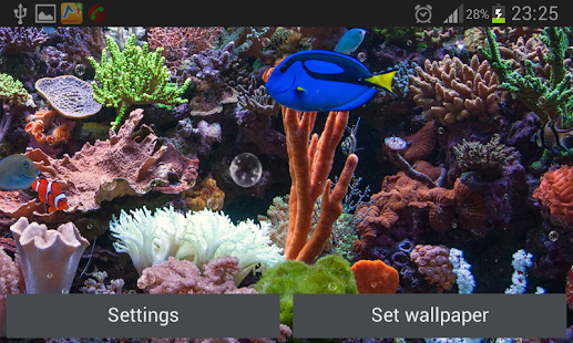 水族館動態壁紙(圖5)-速報App