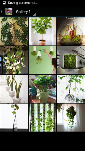 【免費生活App】Indoor Plants-APP點子