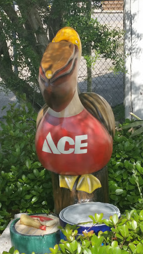 Ace Hardware Pelican