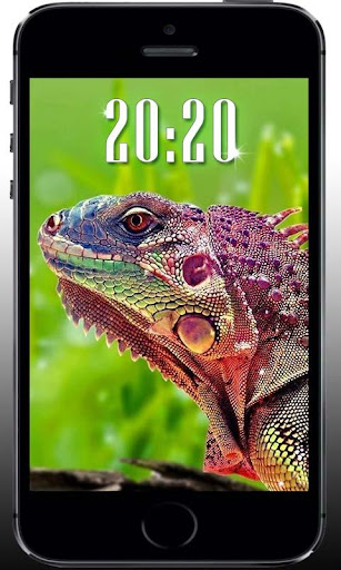 Iguana Lizard live wallpaper