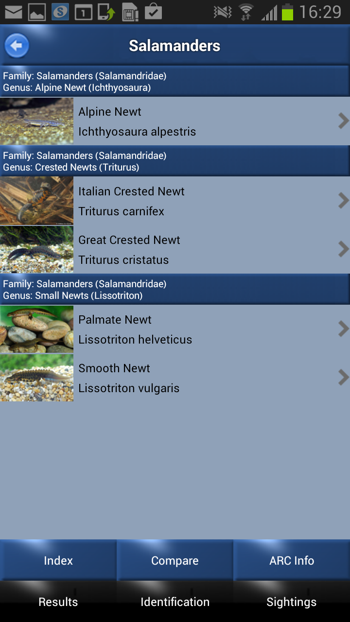 ARC - Amphibians and Reptiles Screen 2