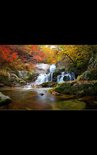 【免費個人化App】My Photo Wall Nature Wallpaper-APP點子