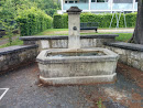 Brunnen 1882