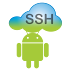 SSH Server3.1