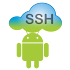 SSH Server3.1