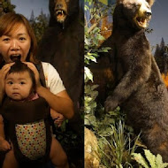 【台南】水餃之家