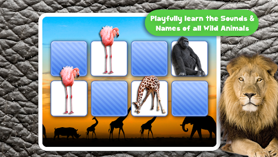 Memory Wildlife Photo For Kids Screenshots 11