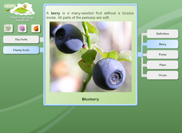 Biology - Plant Morphology poster 10