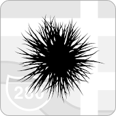 Plag — Information Network