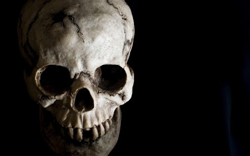 How to install Skulls Live Wallpapers patch 2.0 apk for pc