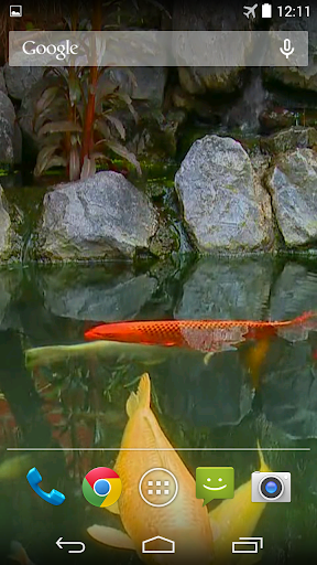 【免費個人化App】Koi Pond Video Live Wallpaper-APP點子